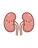 Doctor Kidney